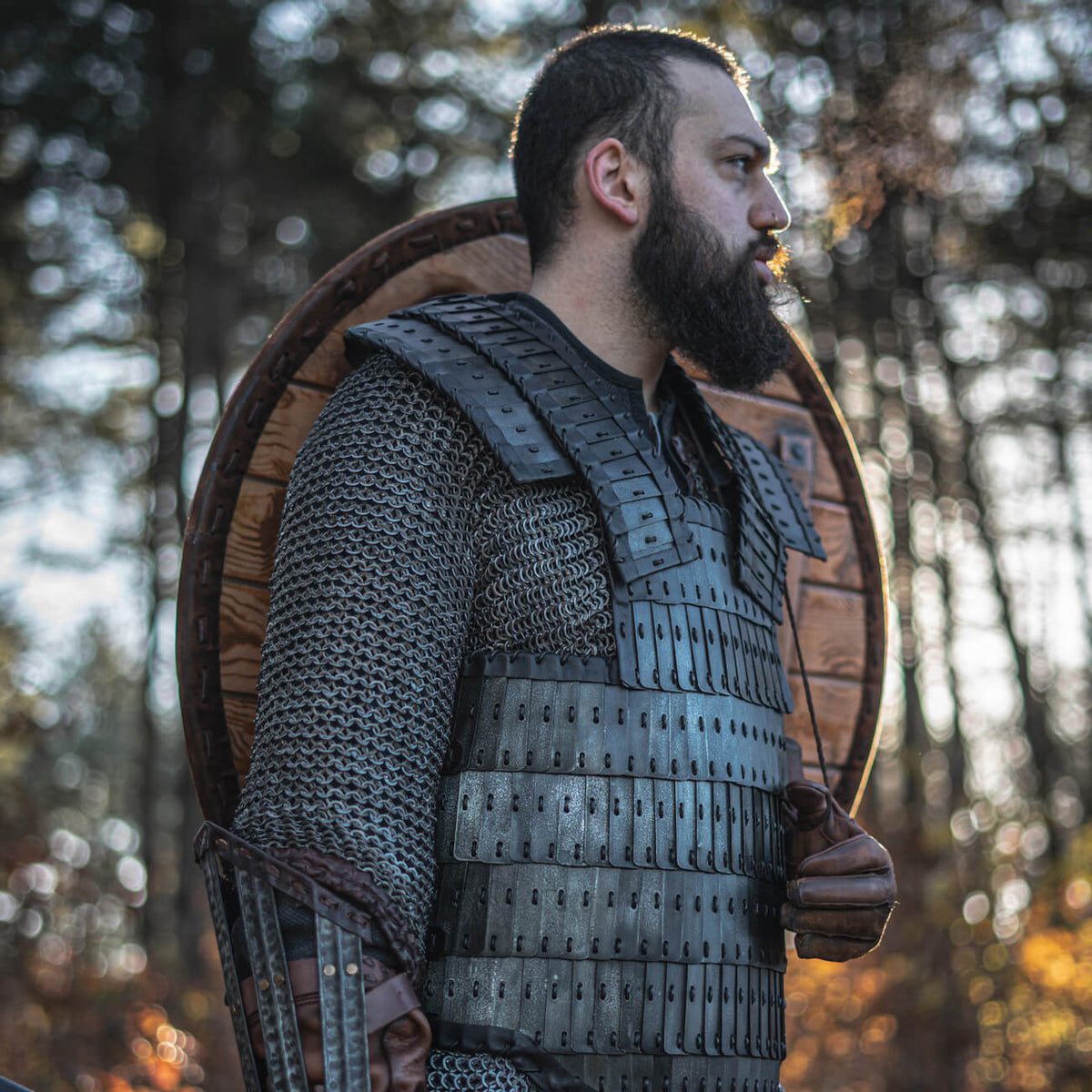 Viking Armor