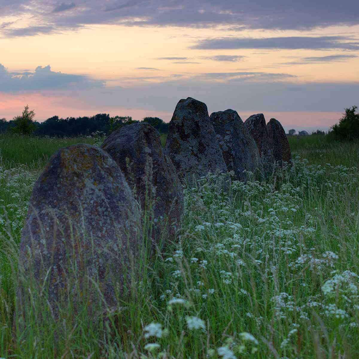 Ancient standing stones in tall grass at sunset, surrounded by wildflowers and soft clouds.