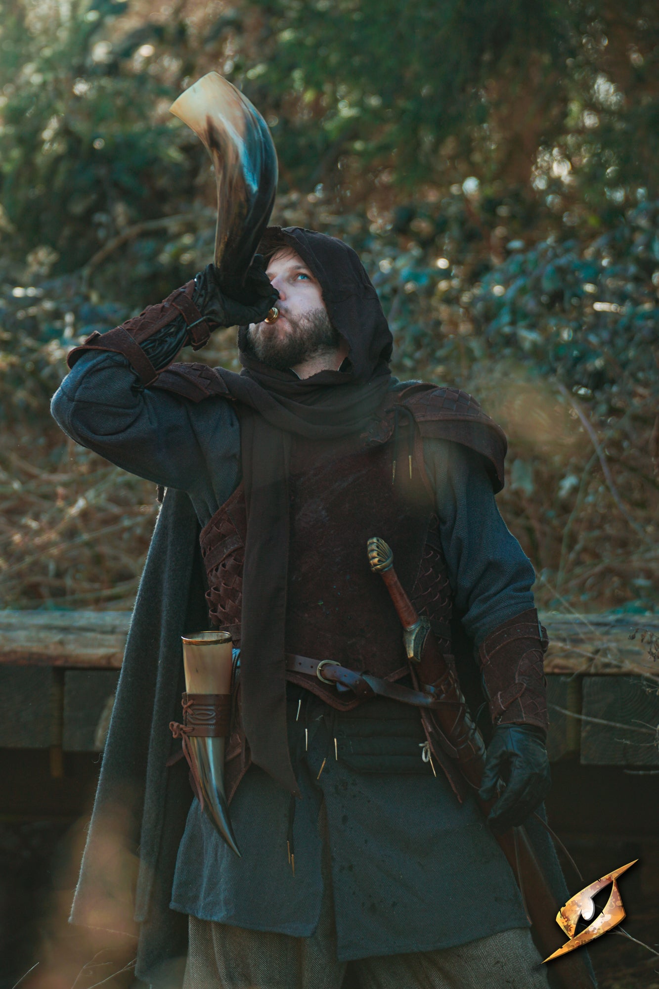 Signal Horn of Valour