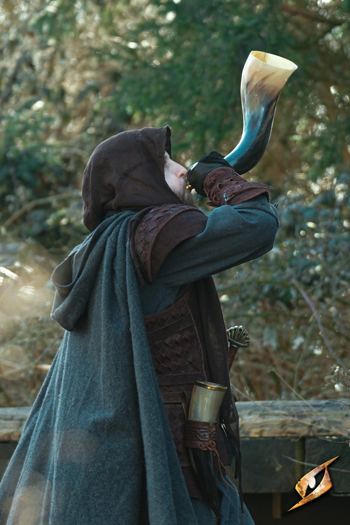 Signal Horn of Valour