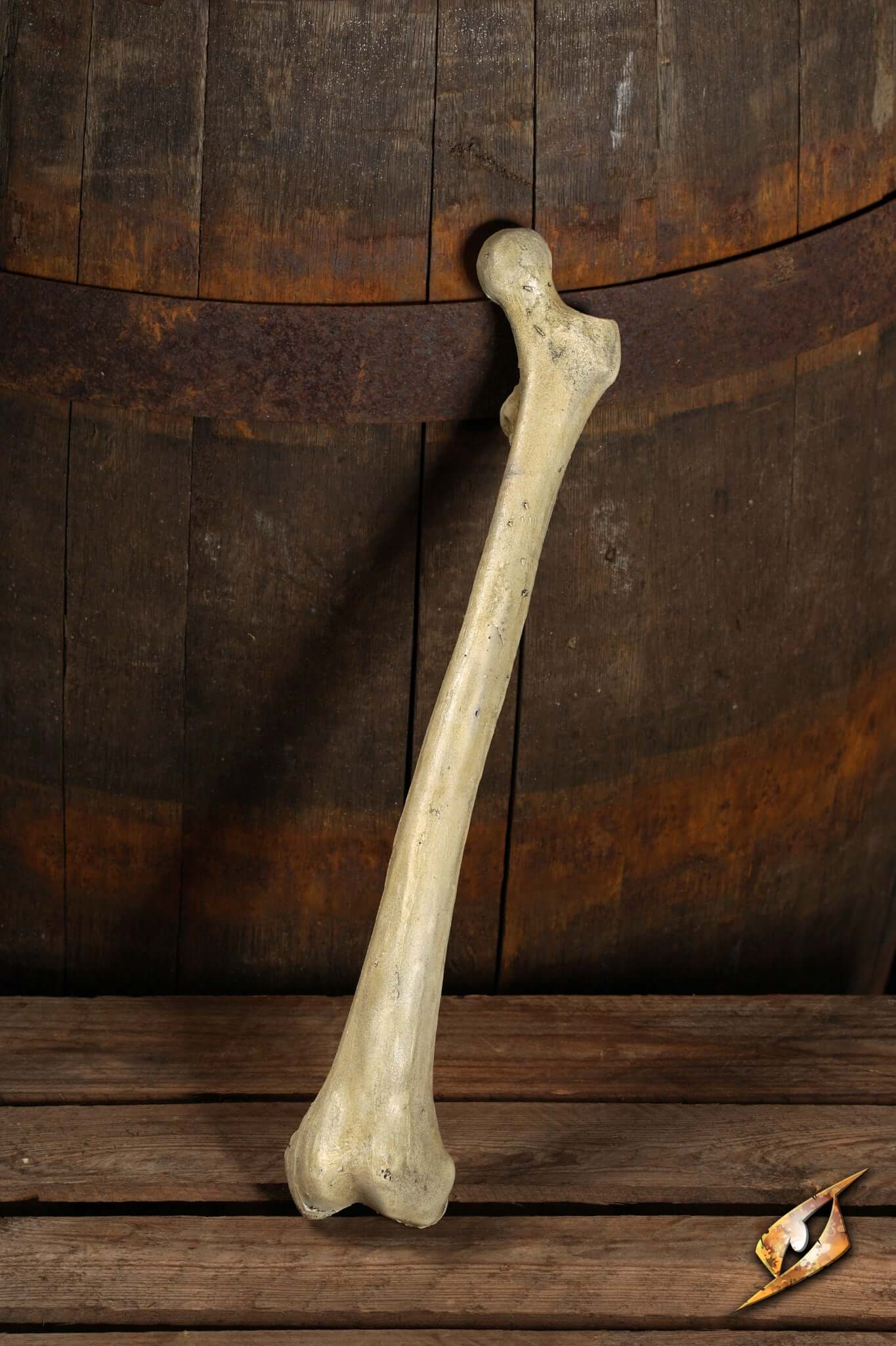 3292 04%20 %20Thigh%20Bone