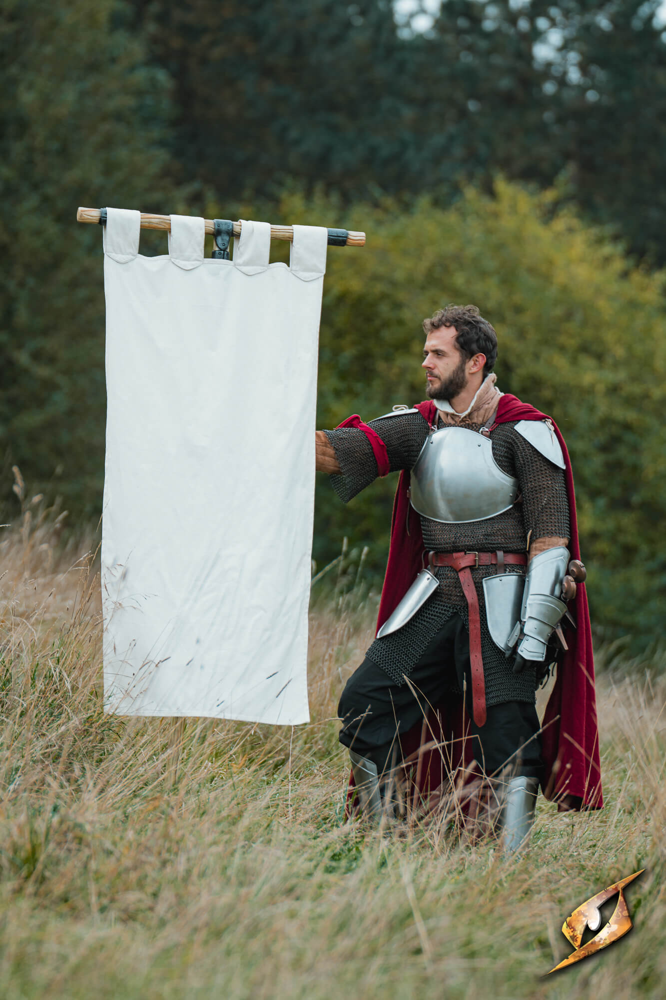 A person in armor holding a banner in a field, showcasing the Complete Battle Standard Set - T-Top.
