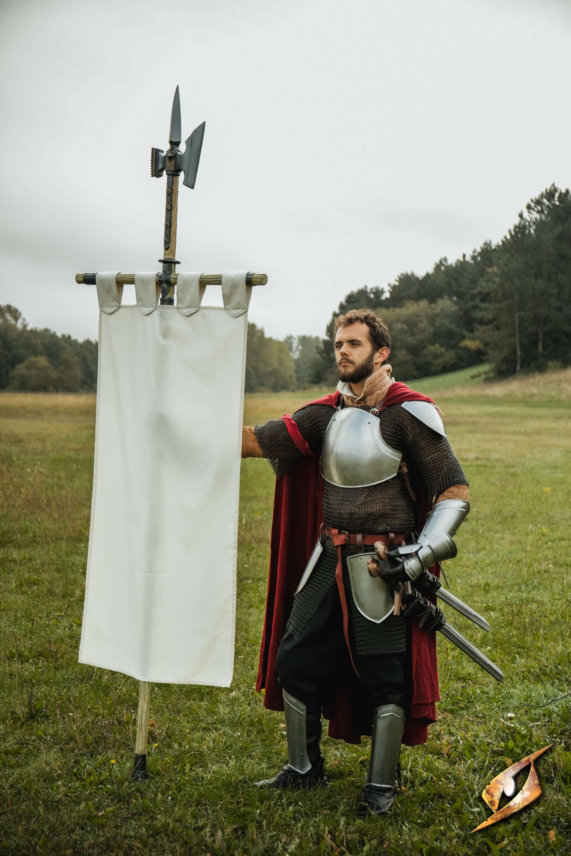 Complete Battle Standard Set - Halberd Top with a warrior displaying a halberd and banner in a grassy field.