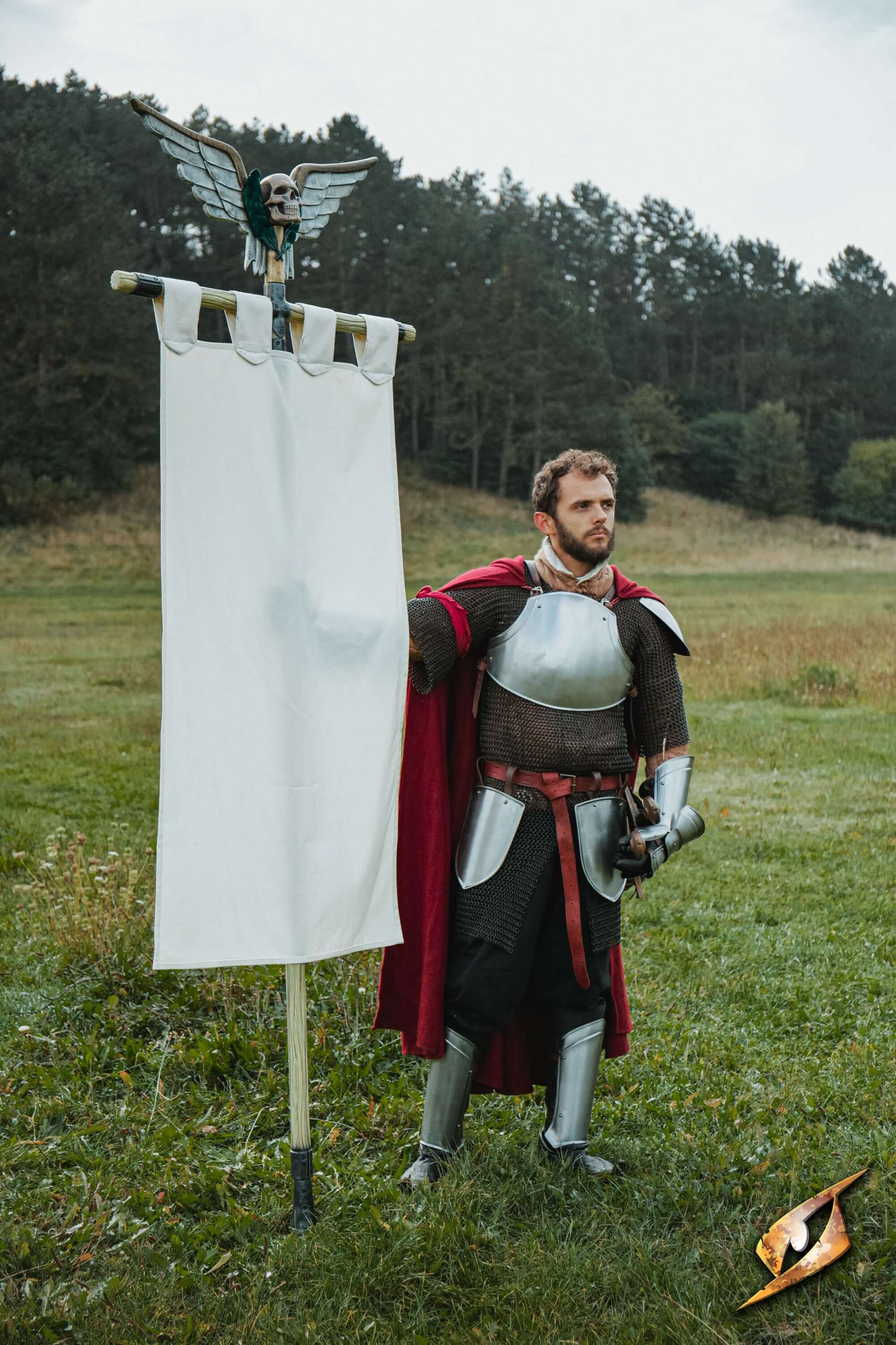 Complete Battle Standard Set - Winged Skull Top displayed by armored man in a field with a dramatic winged skull banner.