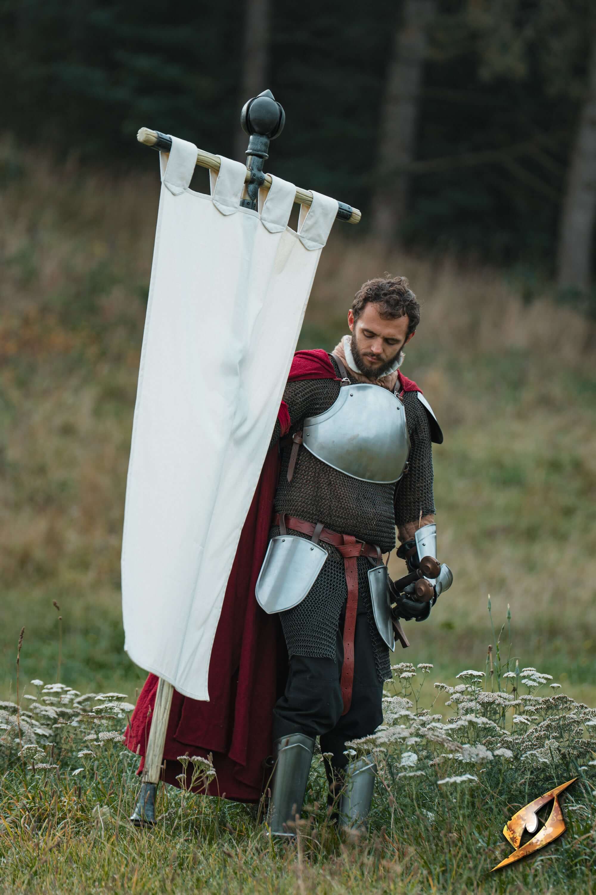 Complete Battle Standard Set - Lord's Orb Top displayed with a knight holding the banner in a field.