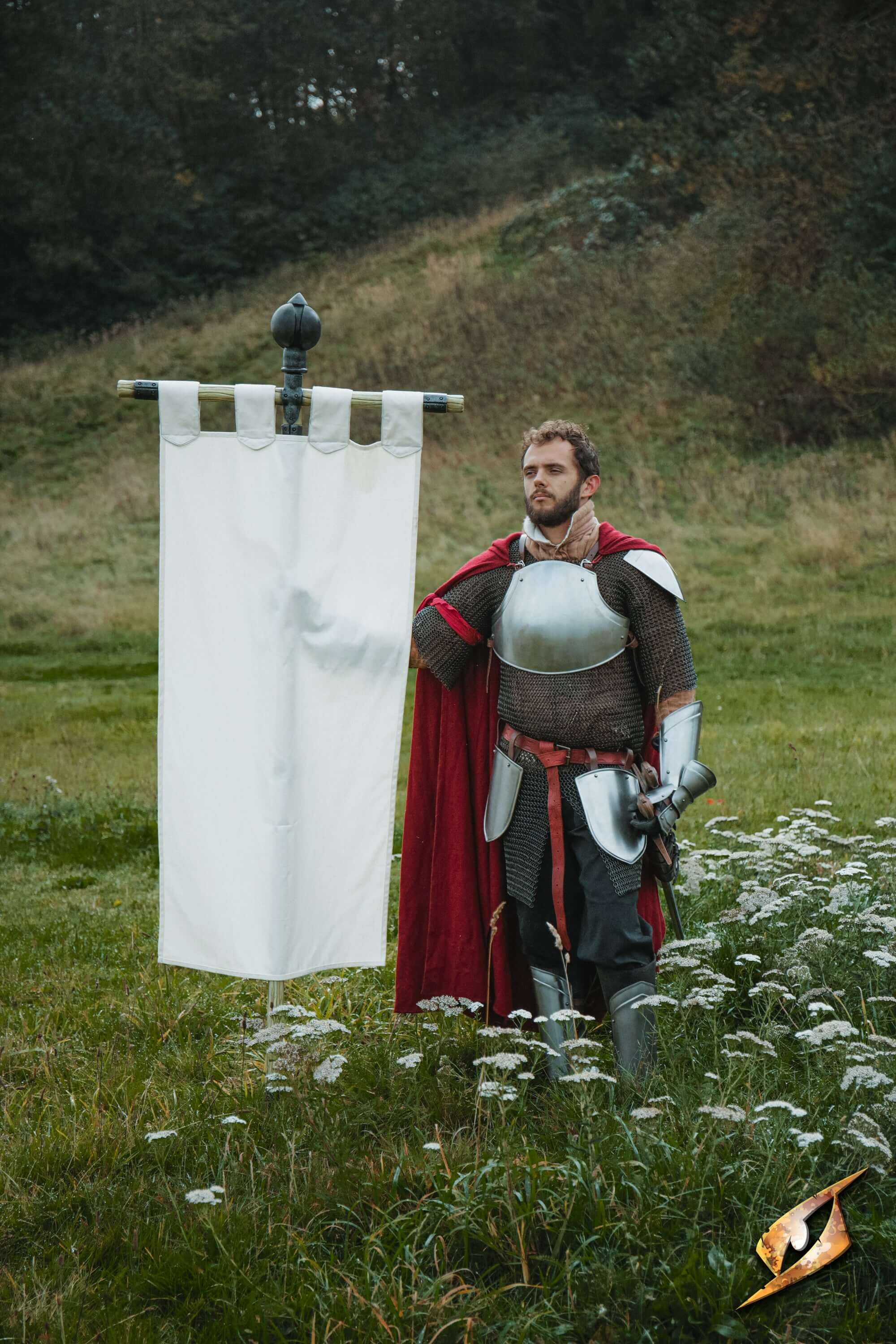 Complete Battle Standard Set - Lord's Orb Top with knight holding flag in a field.