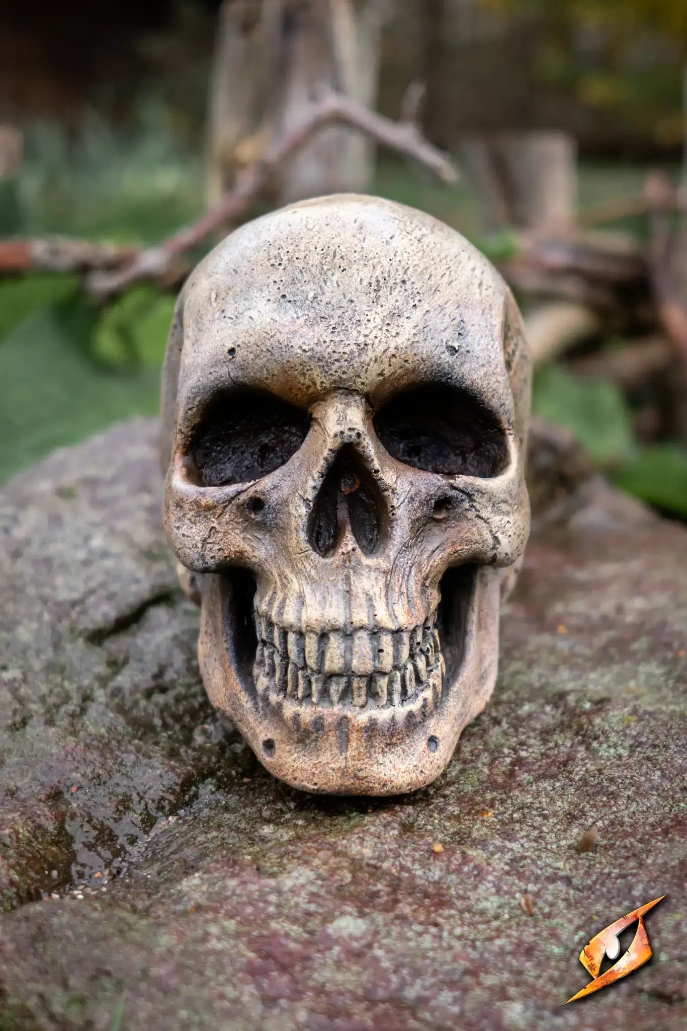 Medium Skull decorative prop for necromancers and spellcasting, showcasing its detailed design.
