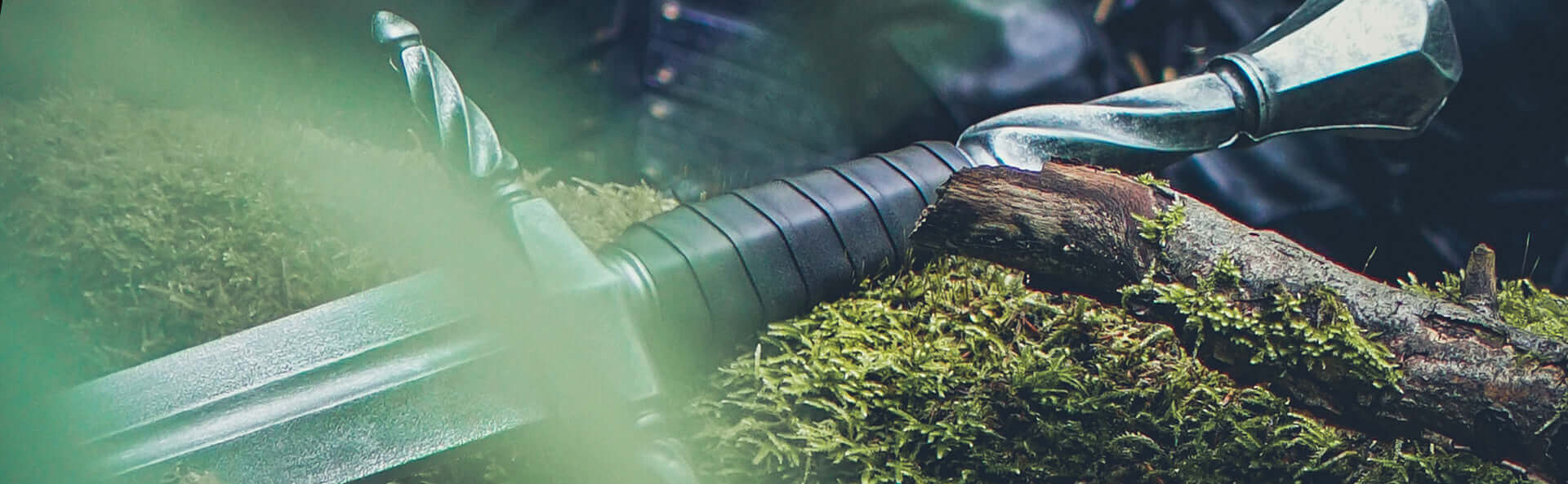 Close-up of a sword resting on mossy wood, showcasing its intricate details and craftsmanship.