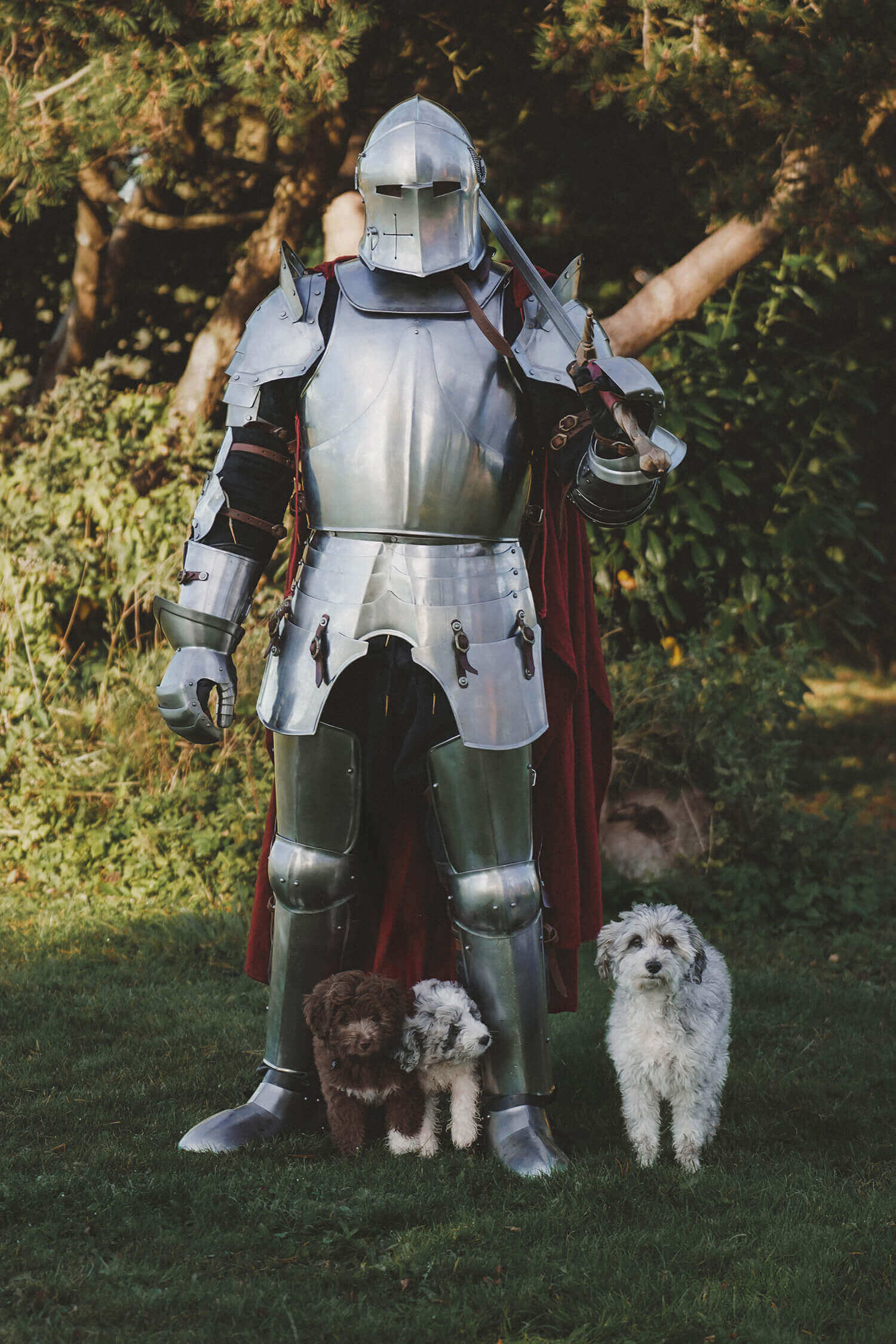 Person in full medieval armor standing with three dogs outdoors.