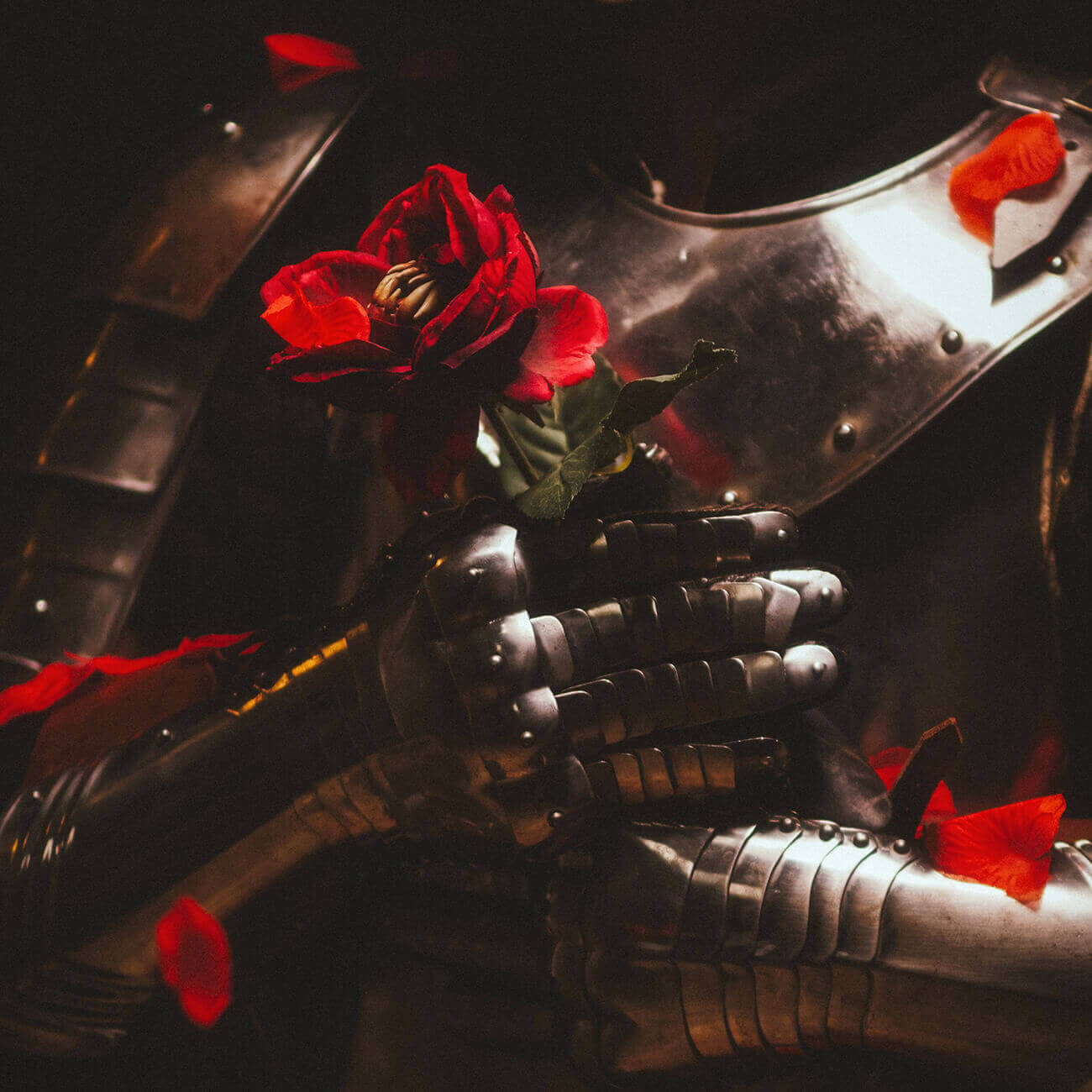 A close-up of a knight's armored hands holding a red rose, with petals scattered around, evoking romance and chivalry.