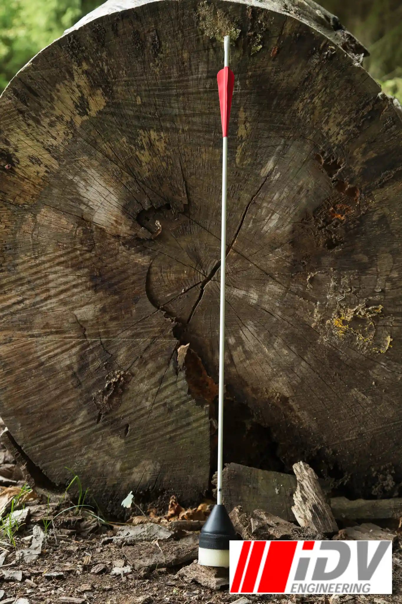 A single larp arrow leaning on large felled tree
