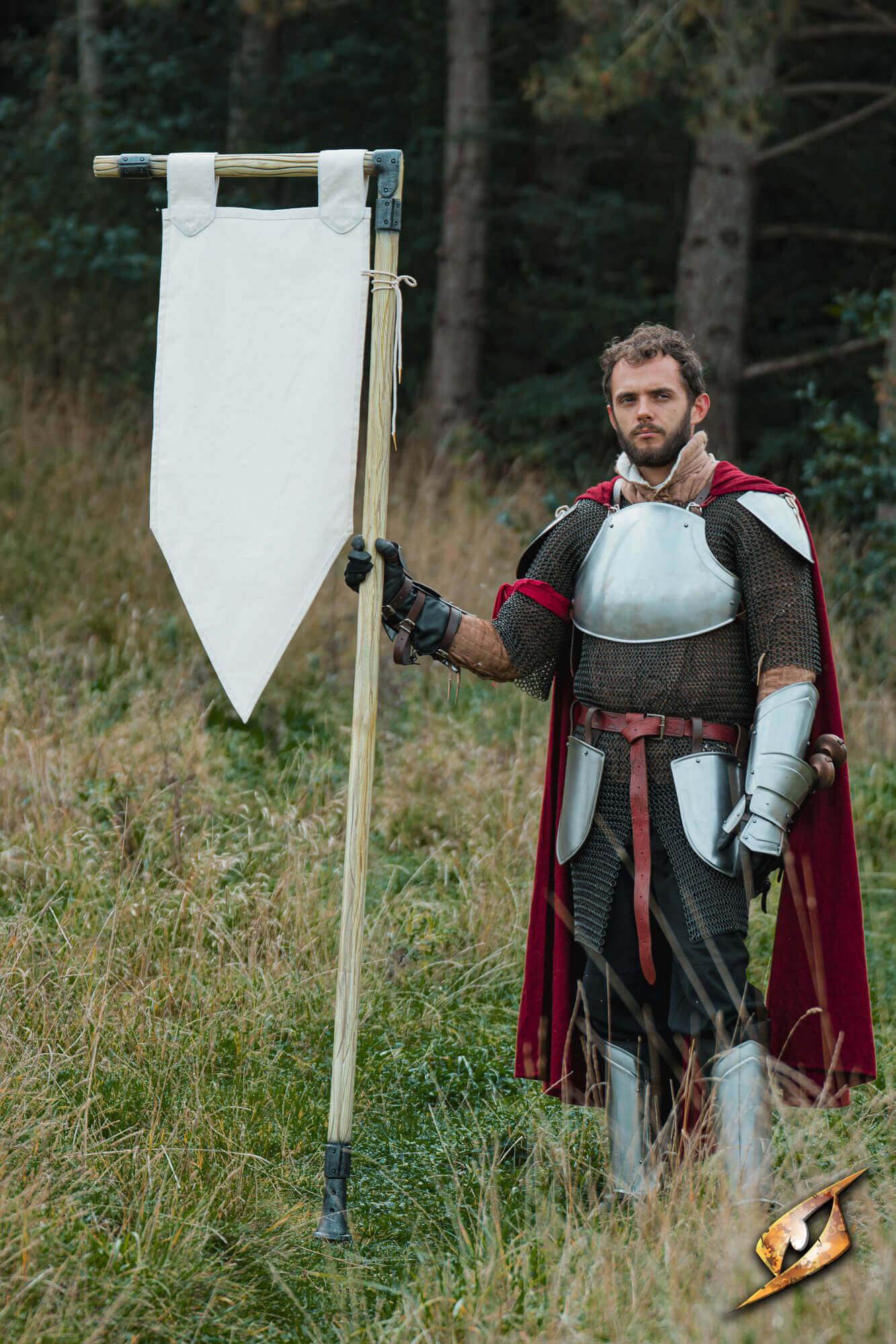 Battle Standard - Pennon held by a knight in armor, standing confidently in an outdoor setting.