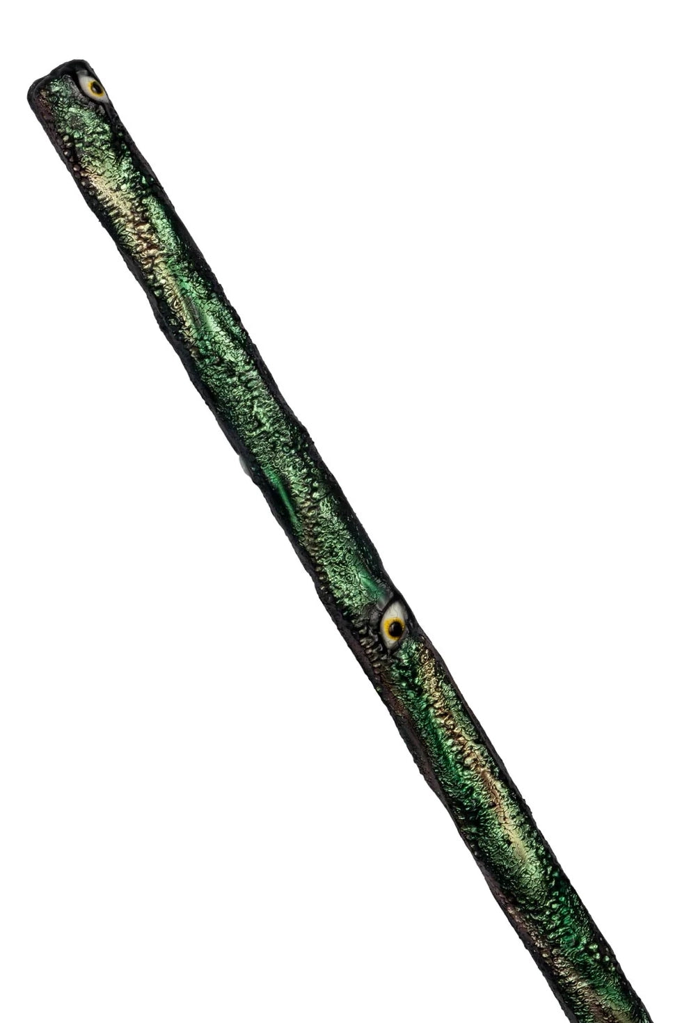 Ca Pareiesite 02