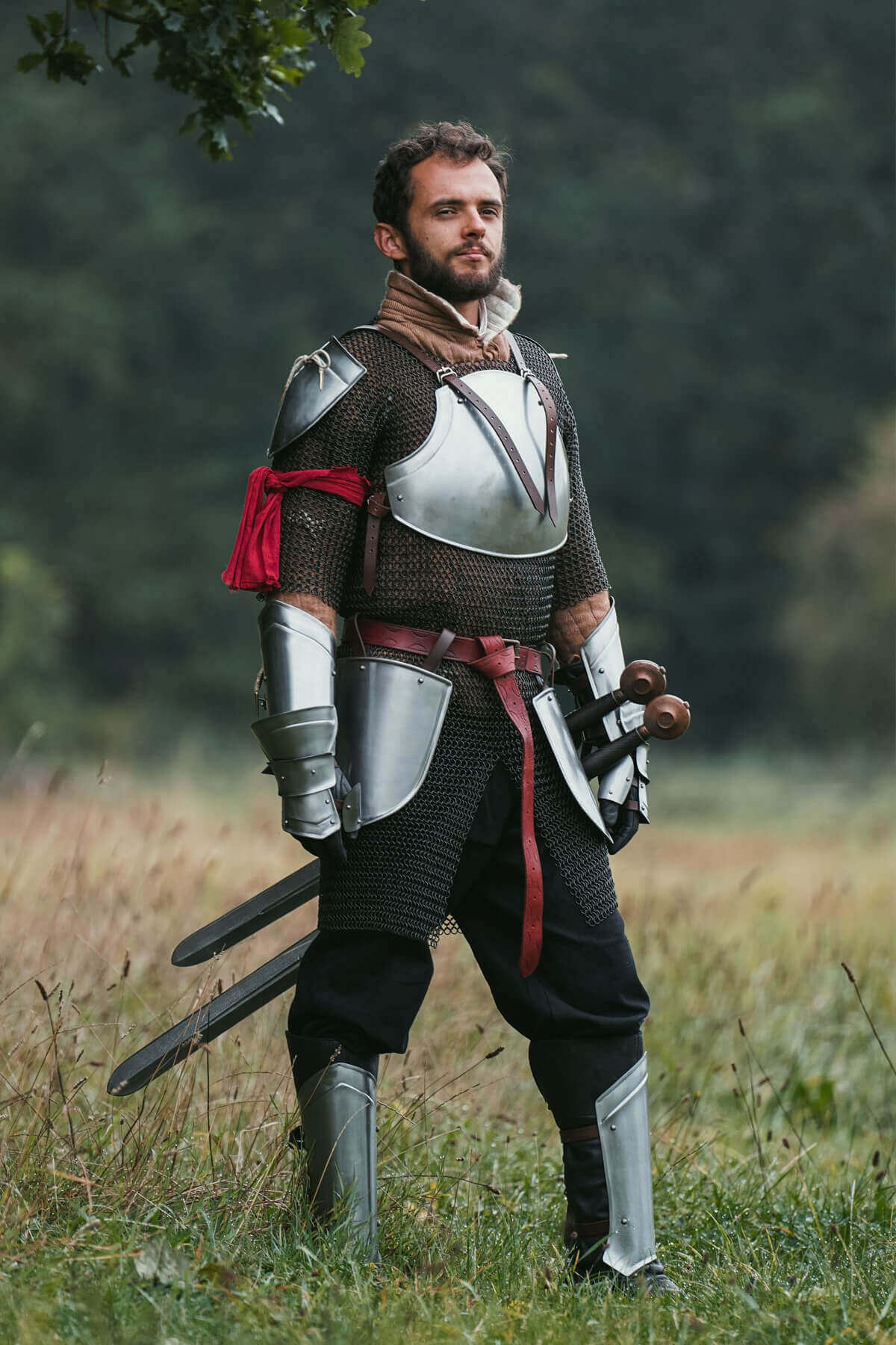 Man in medieval armor standing in a grassy field