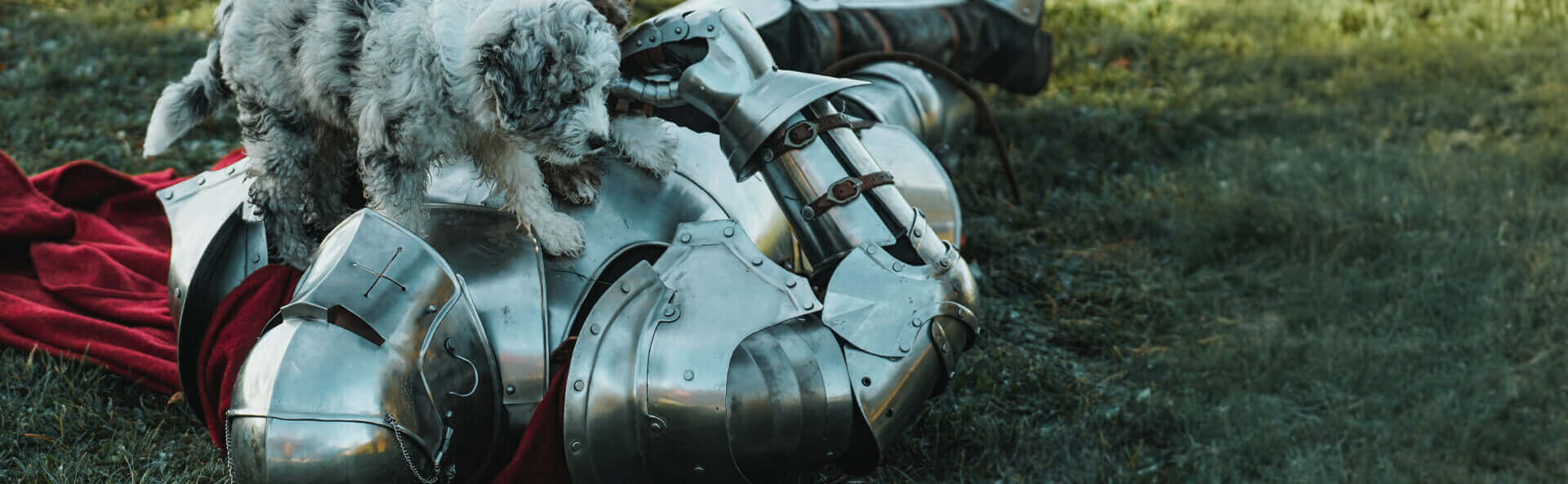 Puppies on top of a person in steel armor in a grassy field