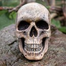 Product thumb image