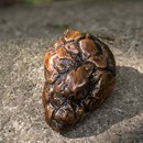 Product thumb image