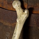 Product thumb image