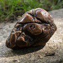 Product thumb image