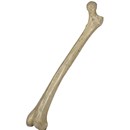 Product thumb image