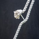 Product thumb image