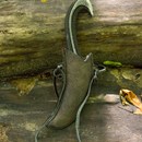 Product thumb image