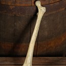 Product thumb image