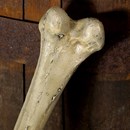 Product thumb image