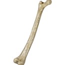 Product thumb image